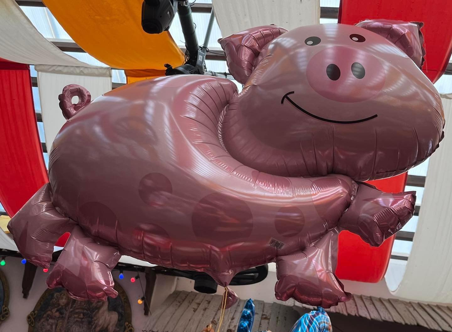 GriseFest på Ølgod